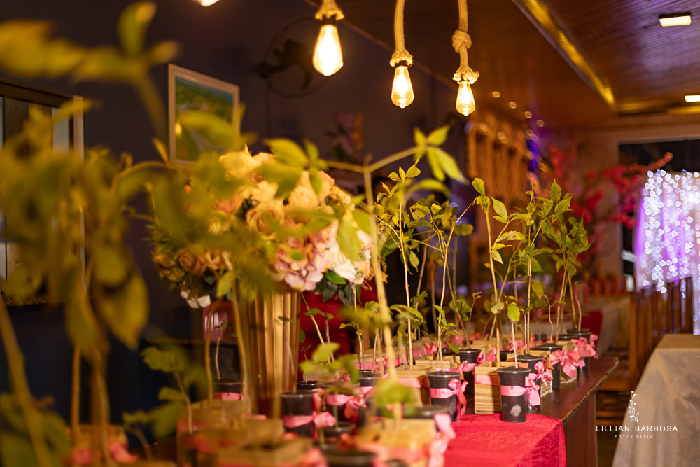 festa-de-15-anos-lillian-barbosa