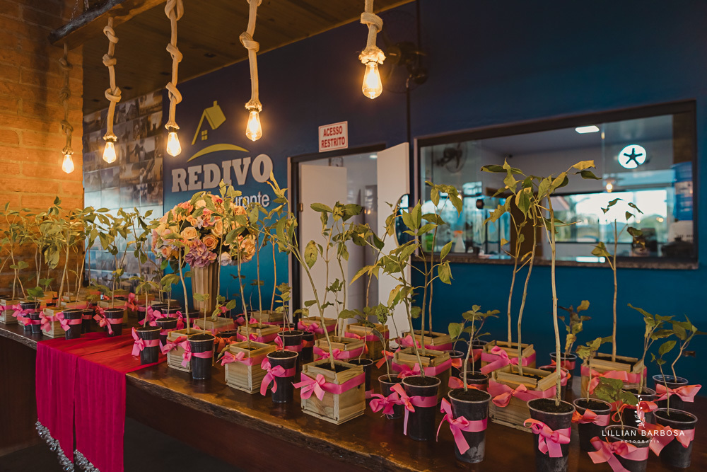 festa-de-15-anos-lillian-barbosa