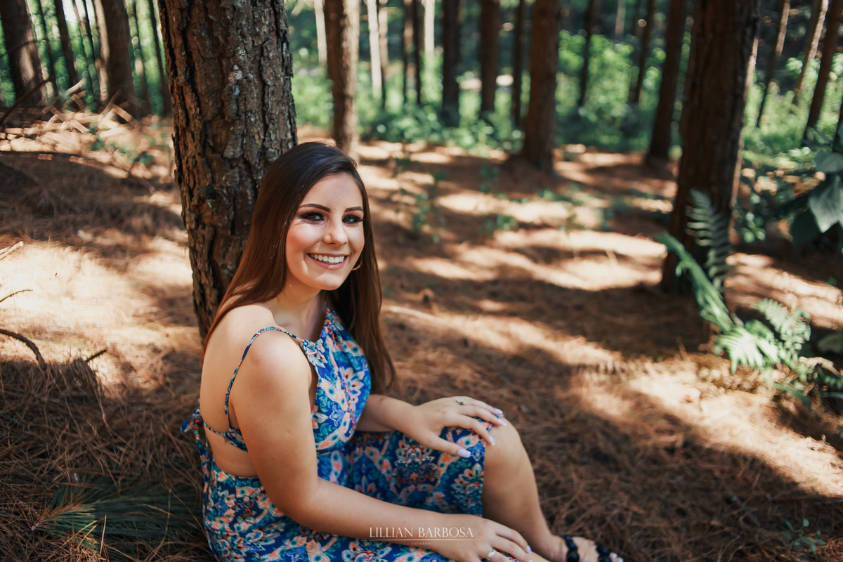 ensaio externo de quinze anos em bosque lauro muller