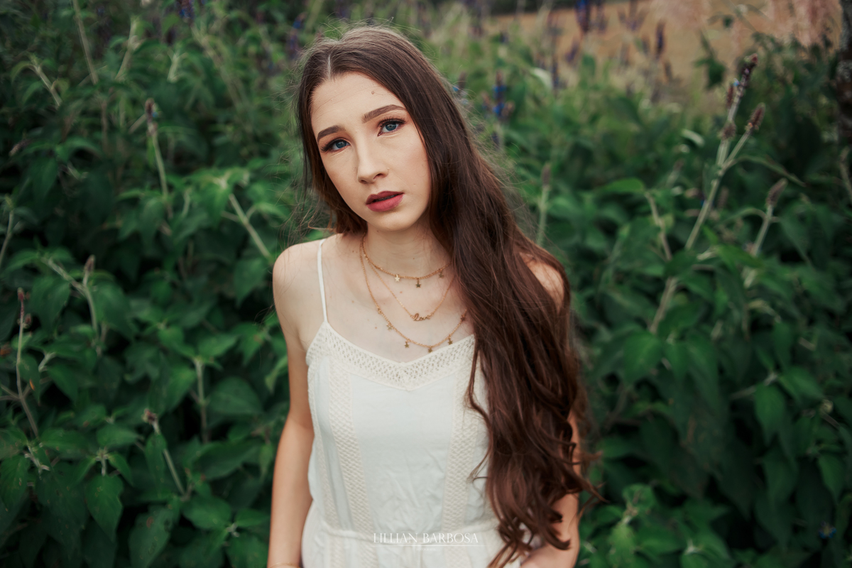 Ensaio de quinze anos na serra do rio do rastro hortencias