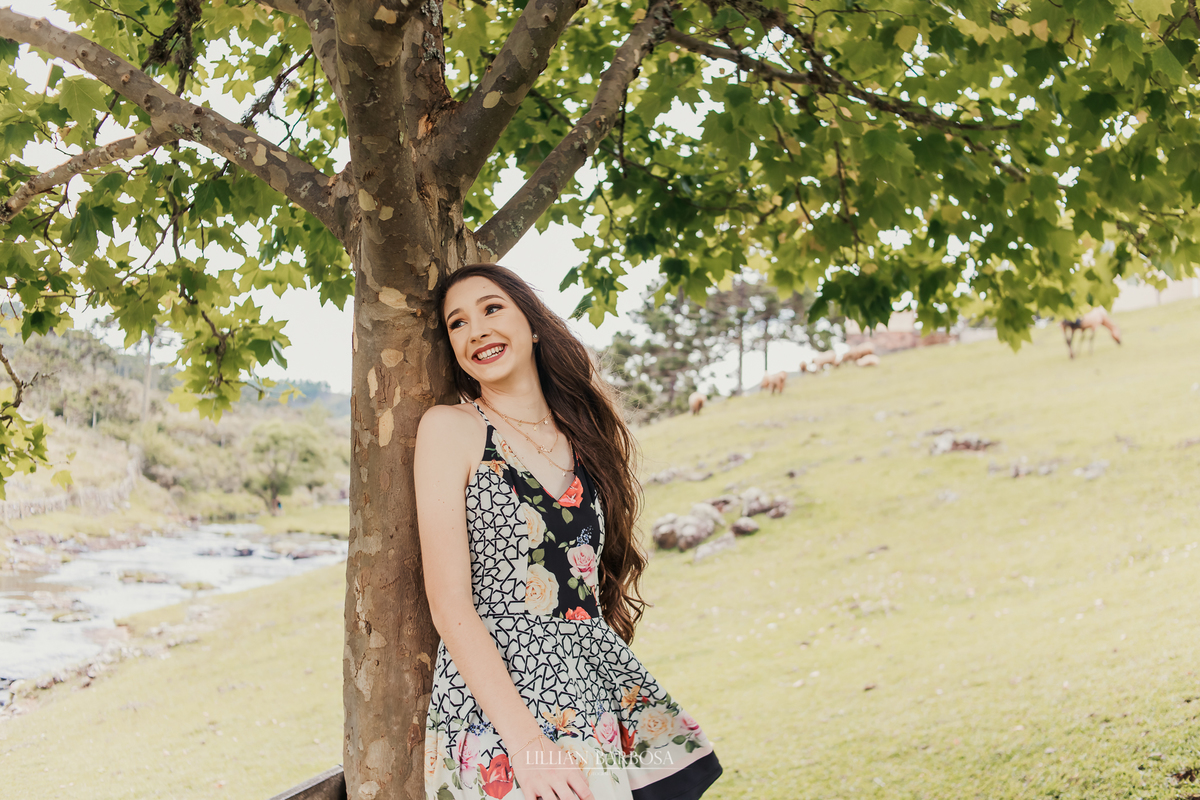 Ensaio de quinze anos na serra do rio do rastro cascata