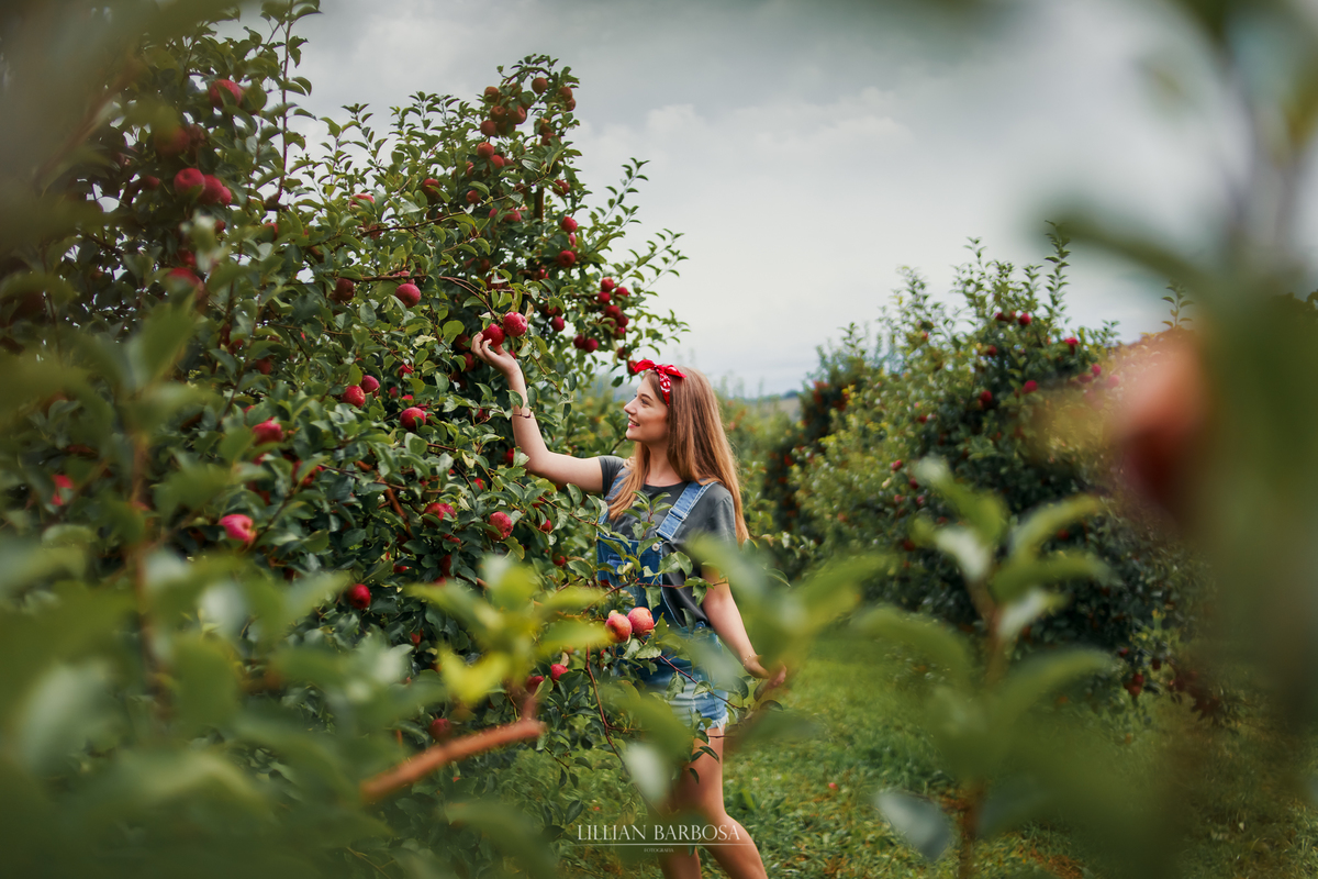 Ensaio externo de 15 anos na serra do rio do rastro colheita pomar de maça