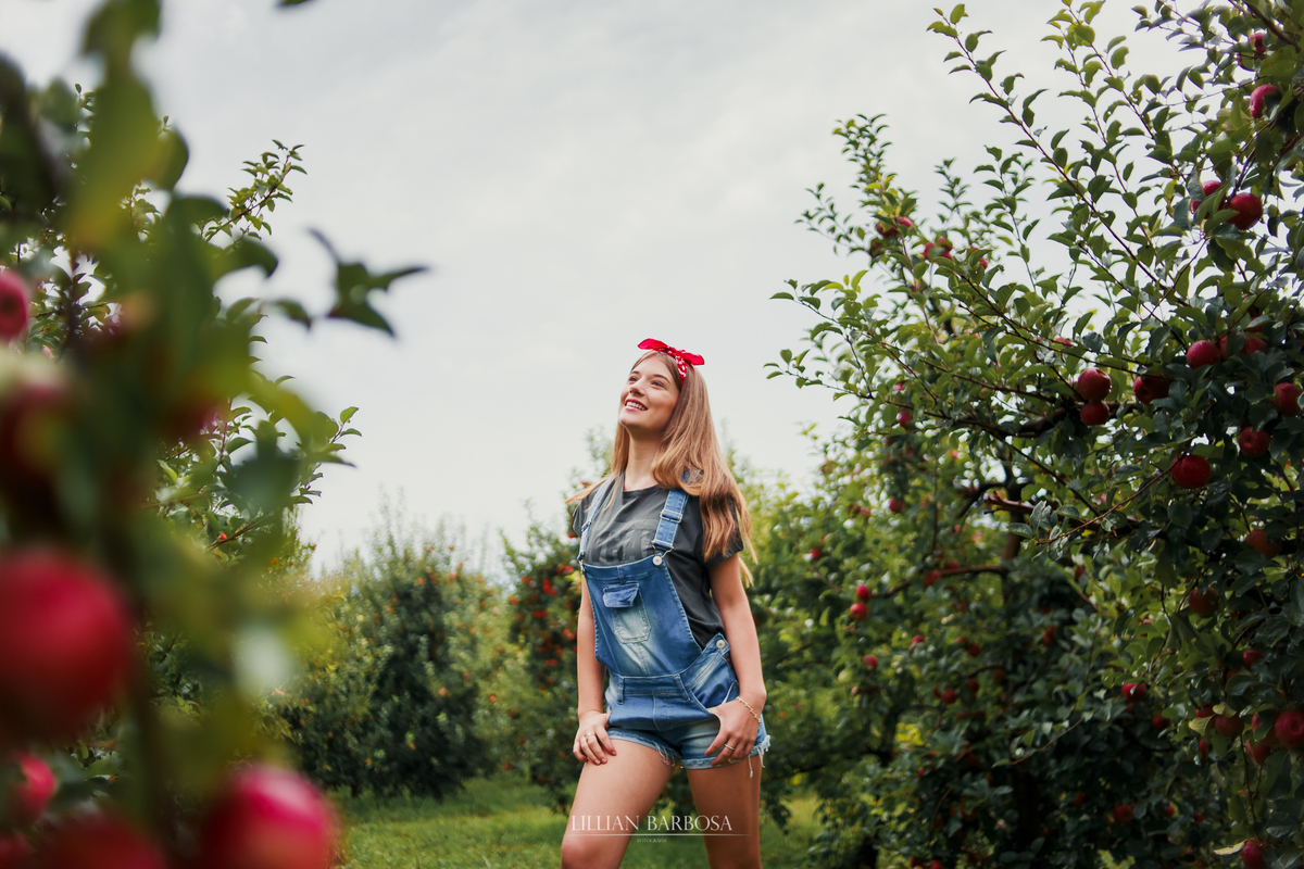 Ensaio externo de 15 anos na serra do rio do rastro colheita pomar de maça