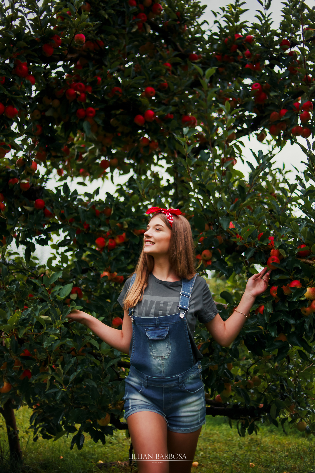 Ensaio externo de 15 anos na serra do rio do rastro colheita pomar de maça