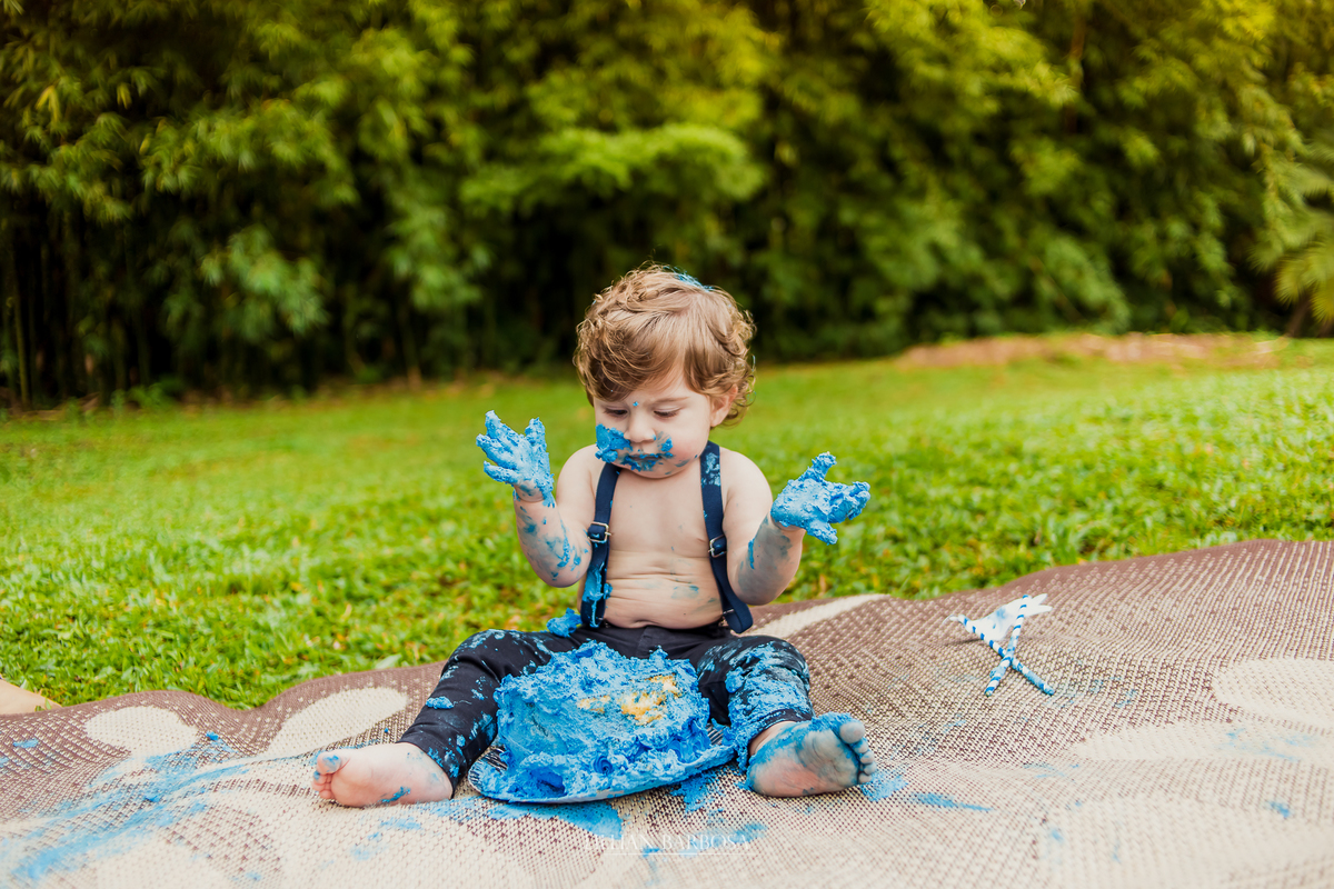 ensaio externo  infantil de menino de 1 ano em um jardim, jardim do castelo de lauro muller smash the cake