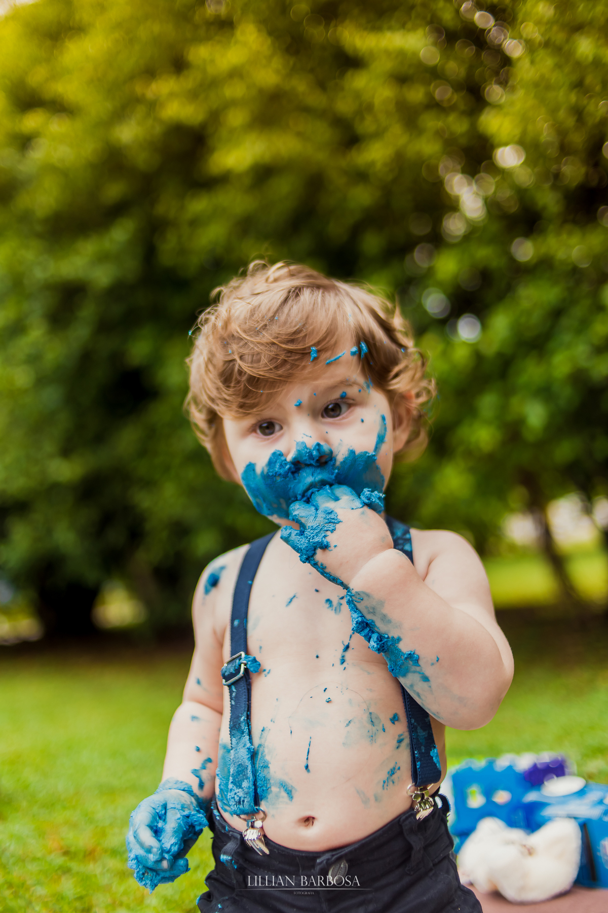 ensaio externo  infantil de menino de 1 ano em um jardim, jardim do castelo de lauro muller smash the cake