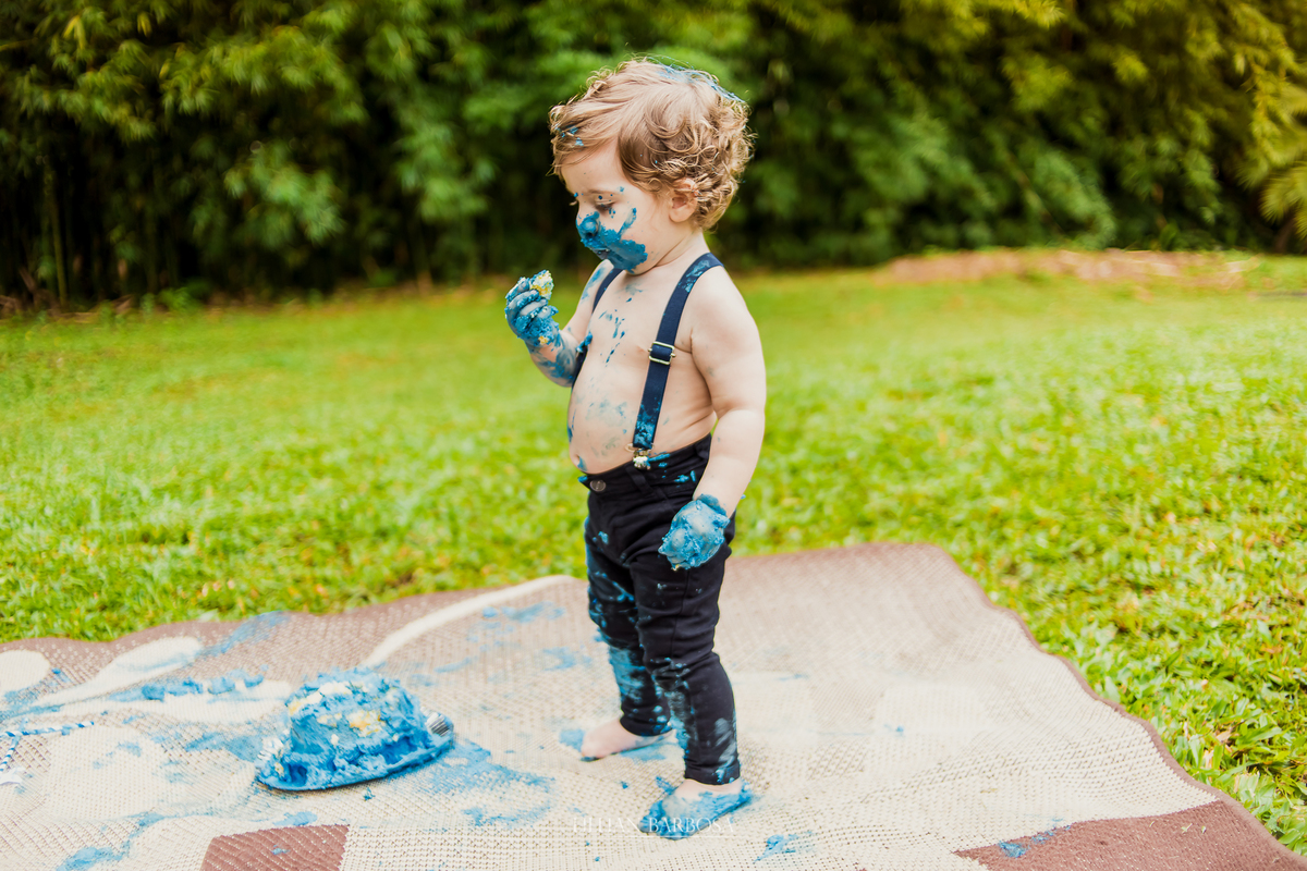 ensaio externo  infantil de menino de 1 ano em um jardim, jardim do castelo de lauro muller smash the cake