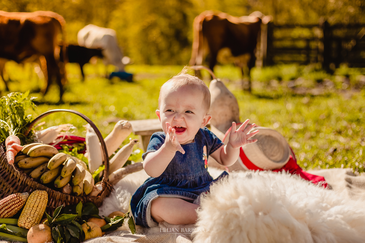 Ensaio de 1 ano de menina em sitio, tema rural, tema fazendinha, smash the cake, smash the fruit, fotografa de lauro muller, lillian barbosa, ensaio em lauro muller, fotos em lauro muller, fotografo de lauro muller, fotografo de orleans, ensaio infantil