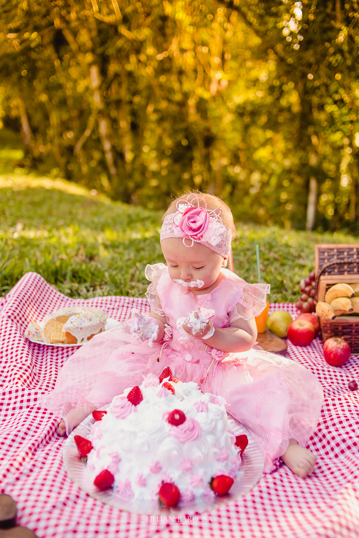 Ensaio de 1 ano de menina em sitio, tema rural, tema fazendinha, smash the cake, smash the fruit, fotografa de lauro muller, lillian barbosa, ensaio em lauro muller, fotos em lauro muller, fotografo de lauro muller, fotografo de orleans, ensaio infantil