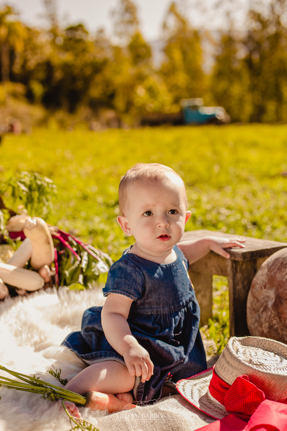 Ensaio de 1 ano de menina em sitio, tema rural, tema fazendinha, smash the cake, smash the fruit, fotografa de lauro muller, lillian barbosa, ensaio em lauro muller, fotos em lauro muller, fotografo de lauro muller, fotografo de orleans, ensaio infantil