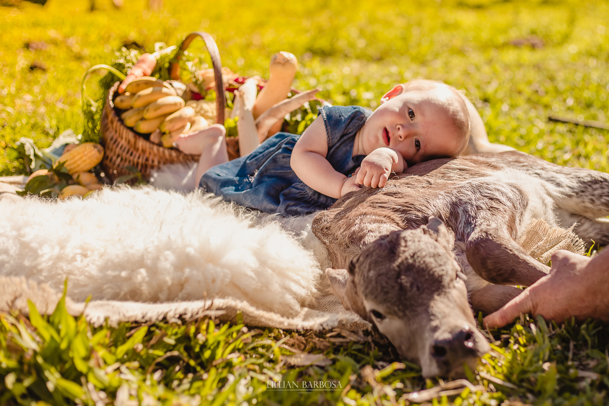 Ensaio de 1 ano de menina em sitio, tema rural, tema fazendinha, smash the cake, smash the fruit, fotografa de lauro muller, lillian barbosa, ensaio em lauro muller, fotos em lauro muller, fotografo de lauro muller, fotografo de orleans, ensaio infantil