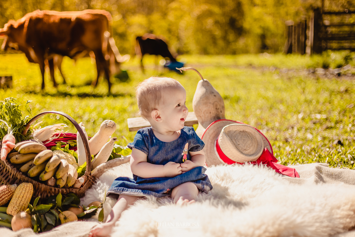 Ensaio de 1 ano de menina em sitio, tema rural, tema fazendinha, smash the cake, smash the fruit, fotografa de lauro muller, lillian barbosa, ensaio em lauro muller, fotos em lauro muller, fotografo de lauro muller, fotografo de orleans, ensaio infantil