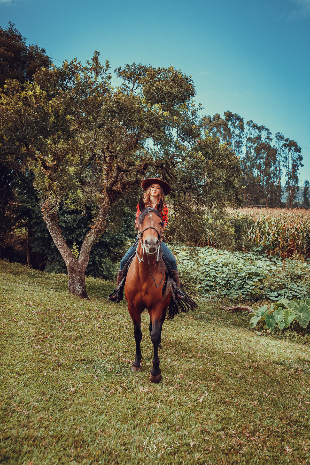ensaio de 15 anos com cavalo em Urubici, SC, Brasil, Serra do Corvo Branco, fotografa Lillian Barbosa