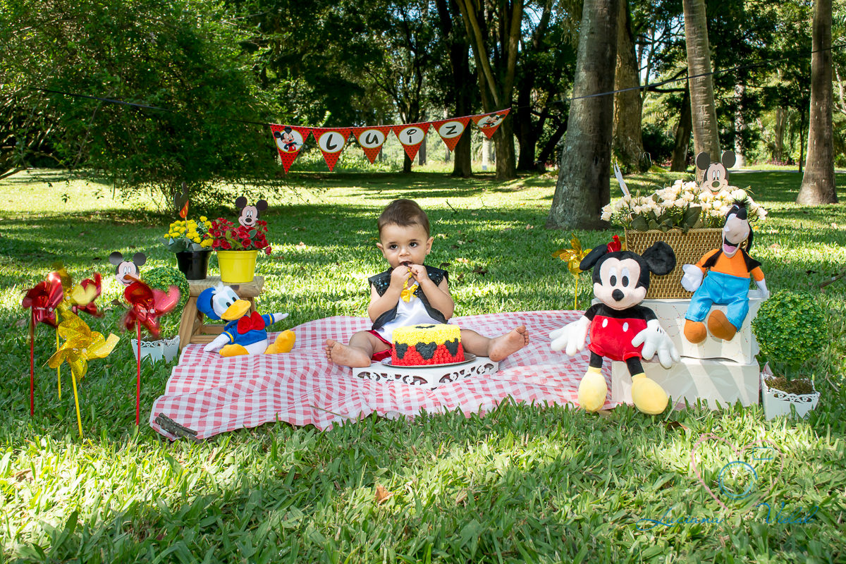 Ensaio Smash the cake Luiz, fotografia Luciana Vidal, em São Paulo. Jd. botânico, nessa imagem o Luiz começa a experimentar seu primeiro bolo.
