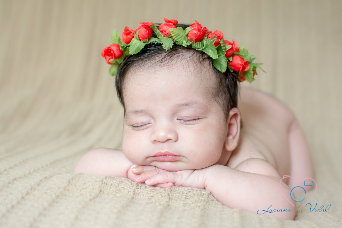 Ensaio Newborn Lara, com 19 dias, fotografia Luciana Vidal em São Paulo, nesse ensaio a Lara esta com um arranjo de flores na cabeça e com carinha de anjo.