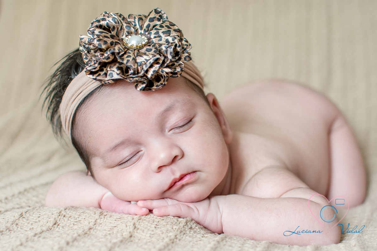 Ensaio Newborn Lara, com 19 dias, fotografia Luciana Vidal em São Paulo, nesse ensaio a Lara esta de bruços em um soninho tranquilo.