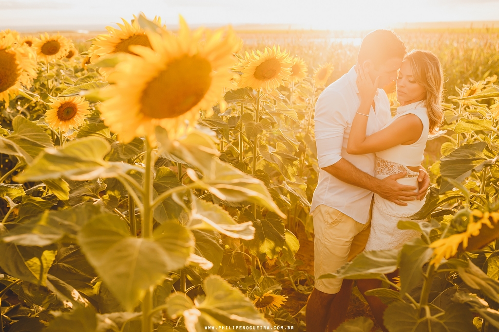 Ensaio de casal em Brasília - DF com os namorados abraçados em plantação de girassol pelo fotógrafo profissional de casamentos Philipe Nogueira