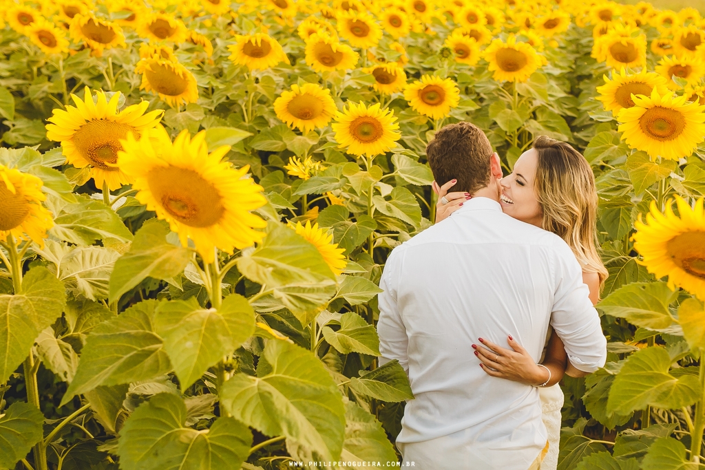 Ensaio de noivos em Brasília - DF com os namorados abraçados em plantação de girassol