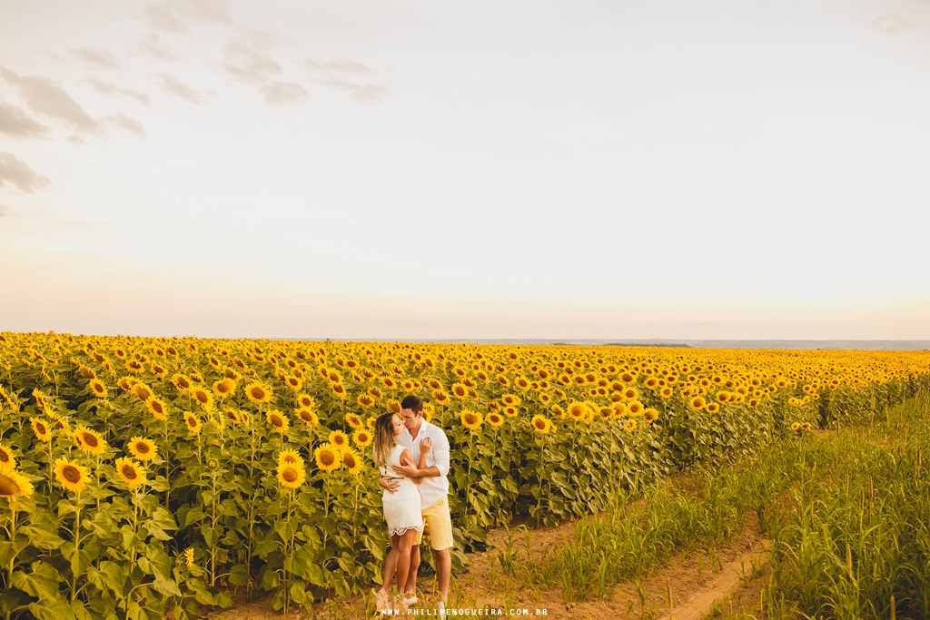 Ensaio de casal em plantação de girassol Brasília Df