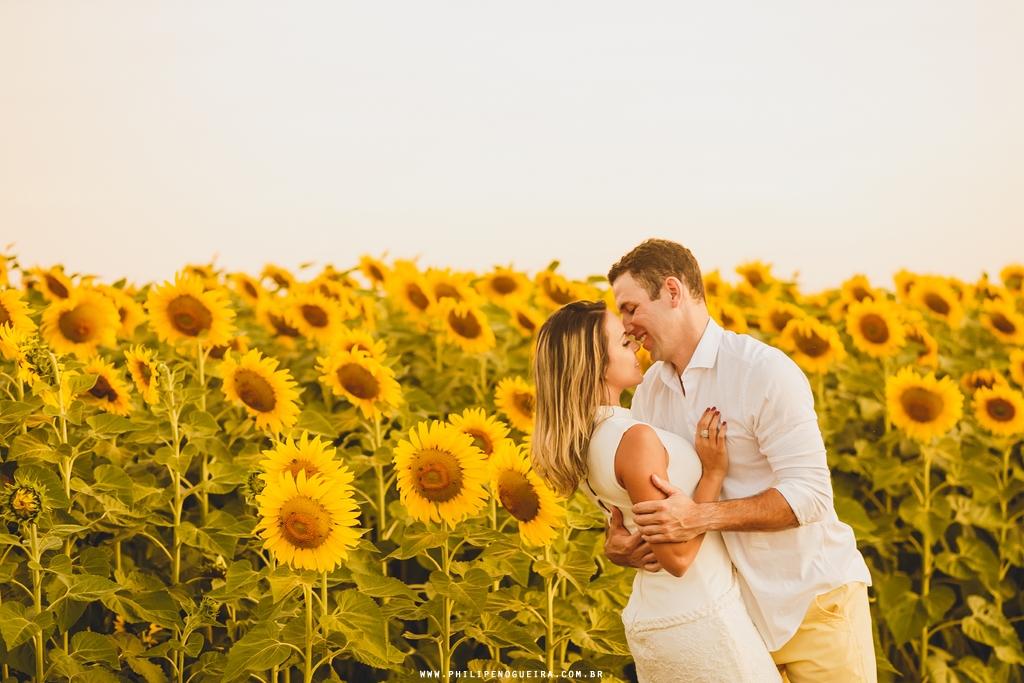 Prévia de casal em plantação de girassol Brasília Df
