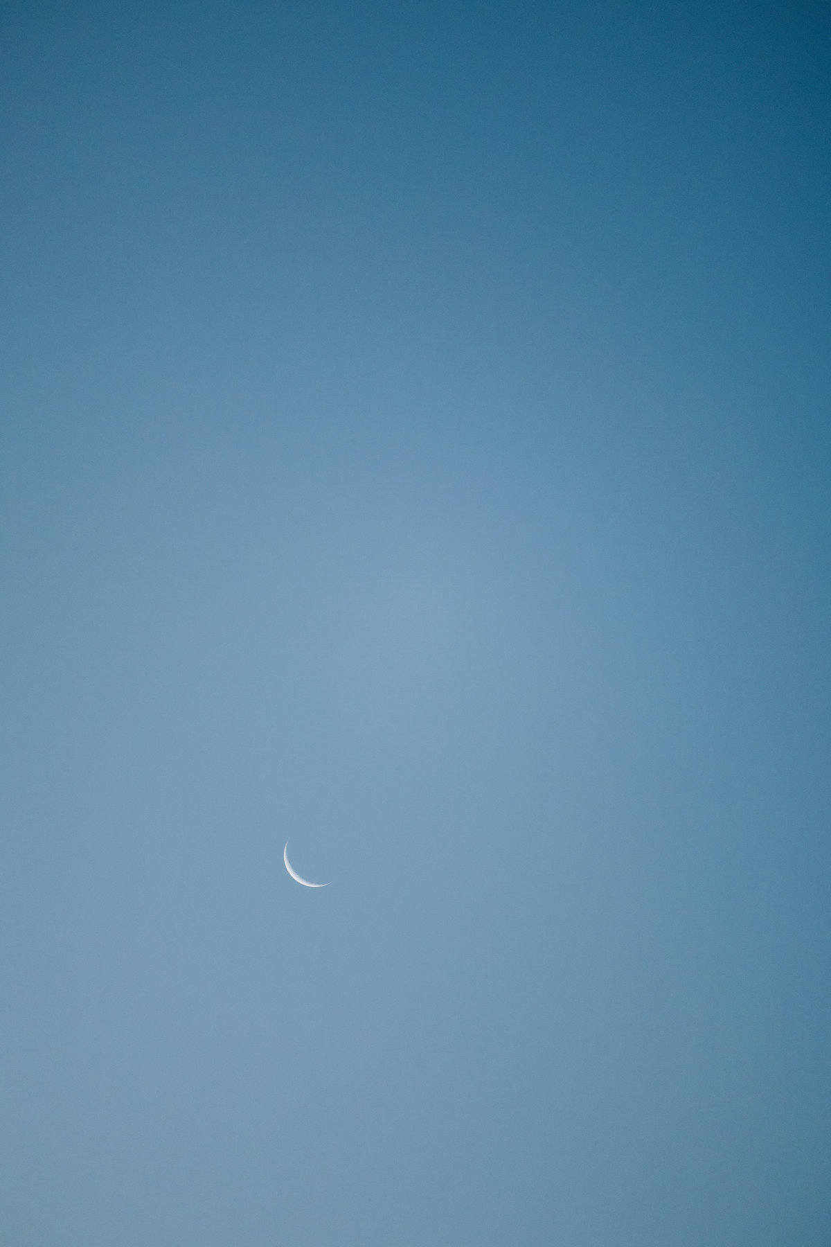 Ensaio de casal na Vinícola Casa Vitor, próximo a Brasília. Fotos da Marcella e do Henrique entre vinhedos, com luz natural e clima romântico. Fotografia de casal com estilo autoral, leve e espontâneo, em cenário elegante e diferente do tradicional.