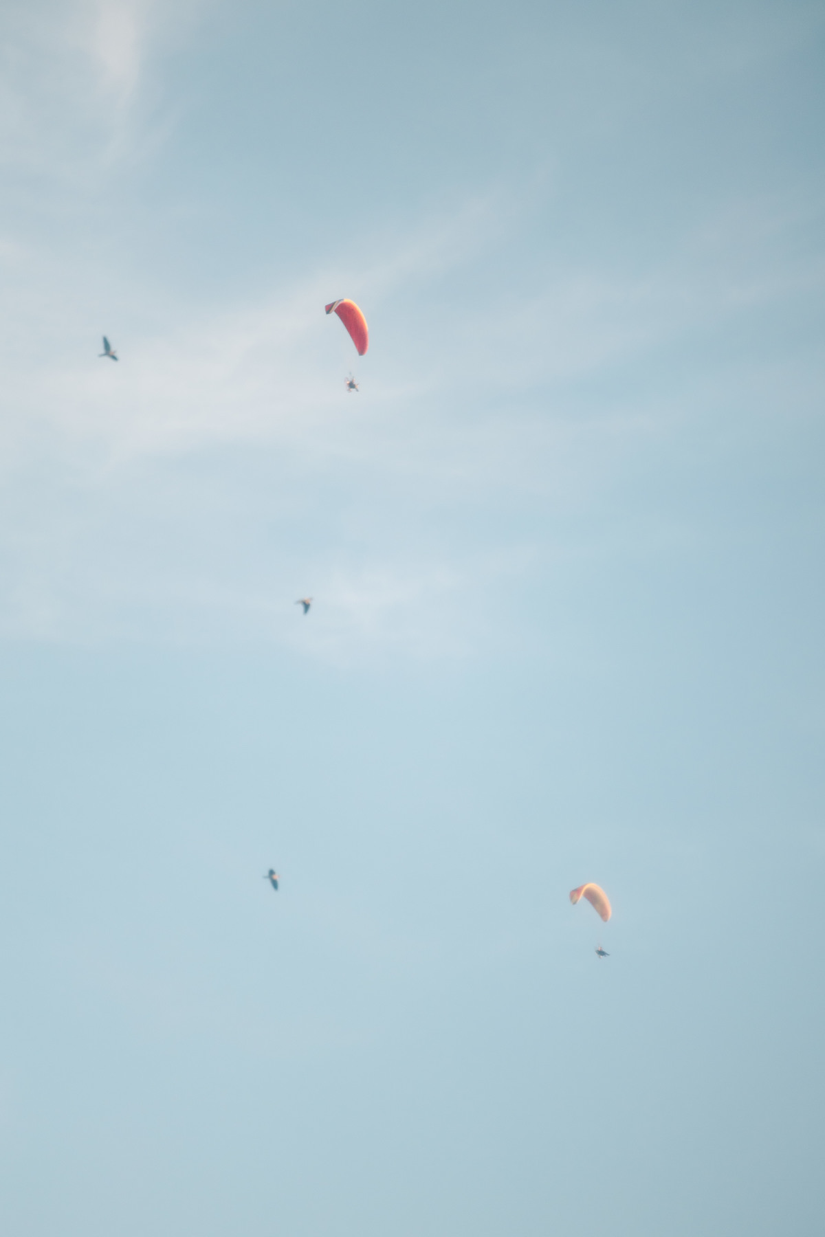 Casamento da Flávia e do Gabriel no Villa Bé, Brasília DF. Vestido Pérola Noivas, decoração Taylla Bastos, penteado Andrezza Penteados e make Letícia Monteiro. Cerimônia ao pôr do sol com atmosfera romântica e elegante.