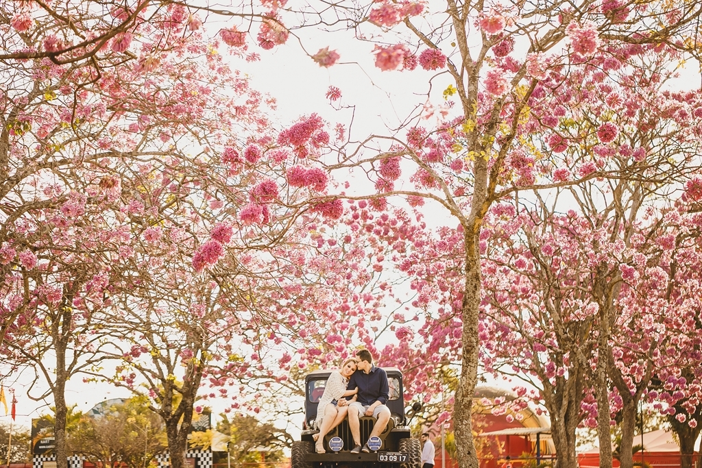 Ensaio de casal com jeep nos ipês rosa do parque da cidade de Brasília fotógrafo profissional de casamentos Philipe Nogueira Df