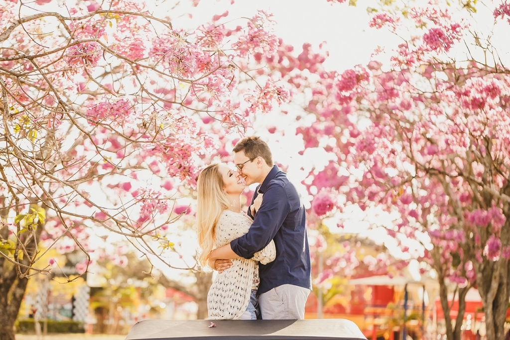 Prévia de casal nos ipês rosa do parque da cidade de Brasília fotógrafo profissional de casamentos Philipe Nogueira Df