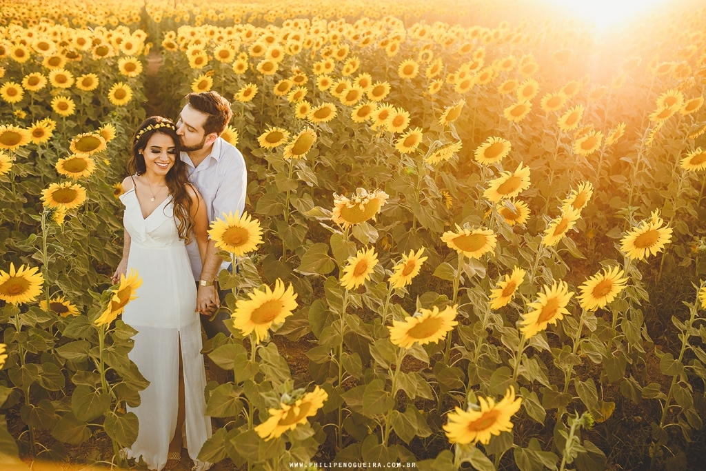 Ensaio de noivos na plantação de Girassol Brasília Df fotógrafo profissional de casamentos Philipe Nogueira
