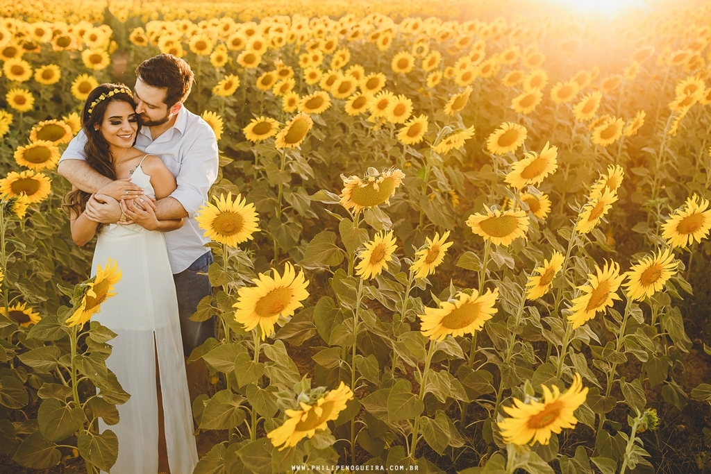 Ensaio de casal no campo de Girassol Brasília fotógrafo profissional de casamentos Philipe Nogueira