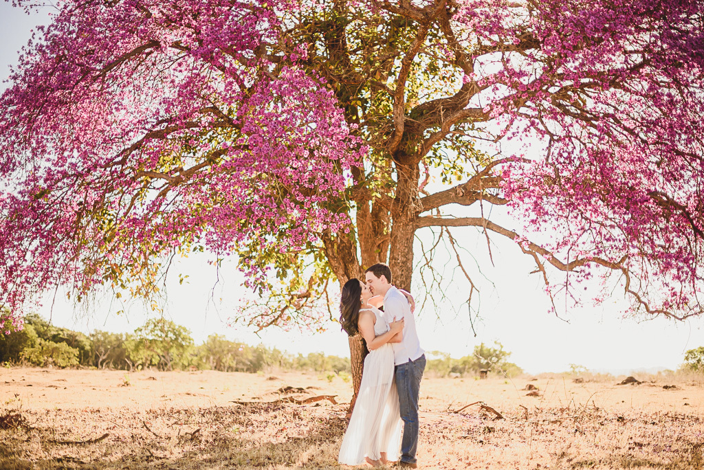 Ensaio Pré wedding pirenópolis go fotógrafo profissional de casamentos Df
