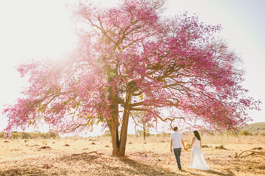 Ensaio Pré wedding Brasília DF fotógrafo profissional de casamentos Df