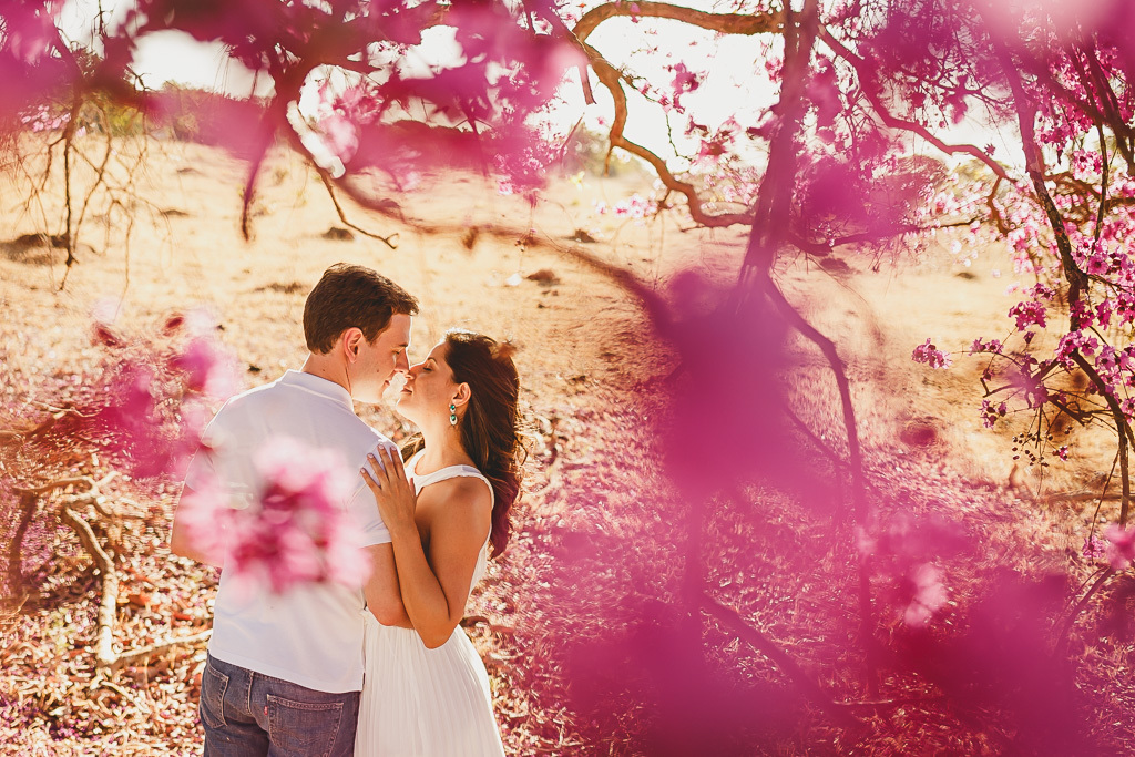 Sessão pré casamento  em Pirenópolis Go