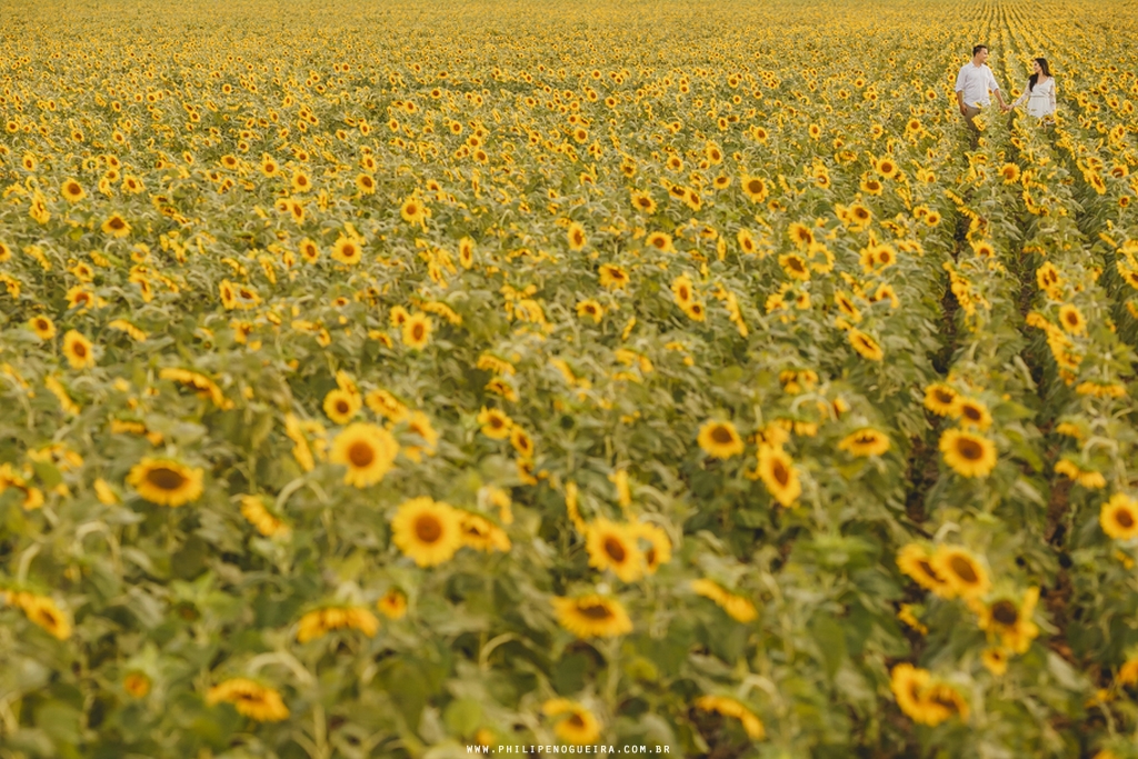Fotografo de Casamento Brasília, Ensaio de Casal em Brasília, Ensaio de Noivos, Ensaio Romântico, Prévia Romântica, Ensaio Fotográfico, Previa de Casal, Ensaio Diferente, Fotos Criativas, Fotografo de Casamento Df, 