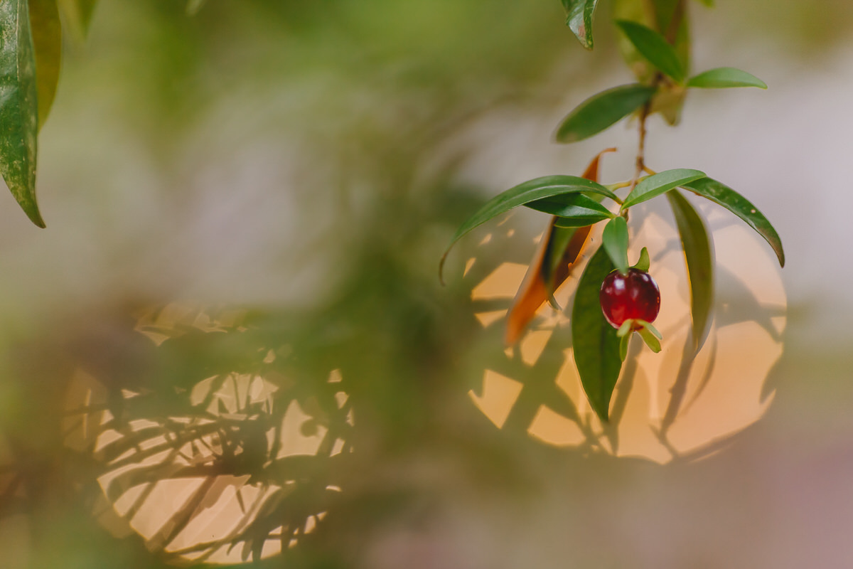 Fotos jornalísticas em casamento no Patú Anú Park Way Brasília Df