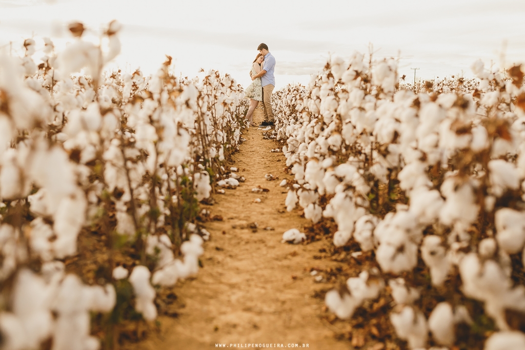 Ensaio de Casal em Brasília, Ensaio Romântico, Ensaio Fotográfico, Prévia Romântica, Fotografo de casamento Brasília Df, Fotografo de Casamento Profissional, Ensaio na Plantação, Ensaio no Campo.