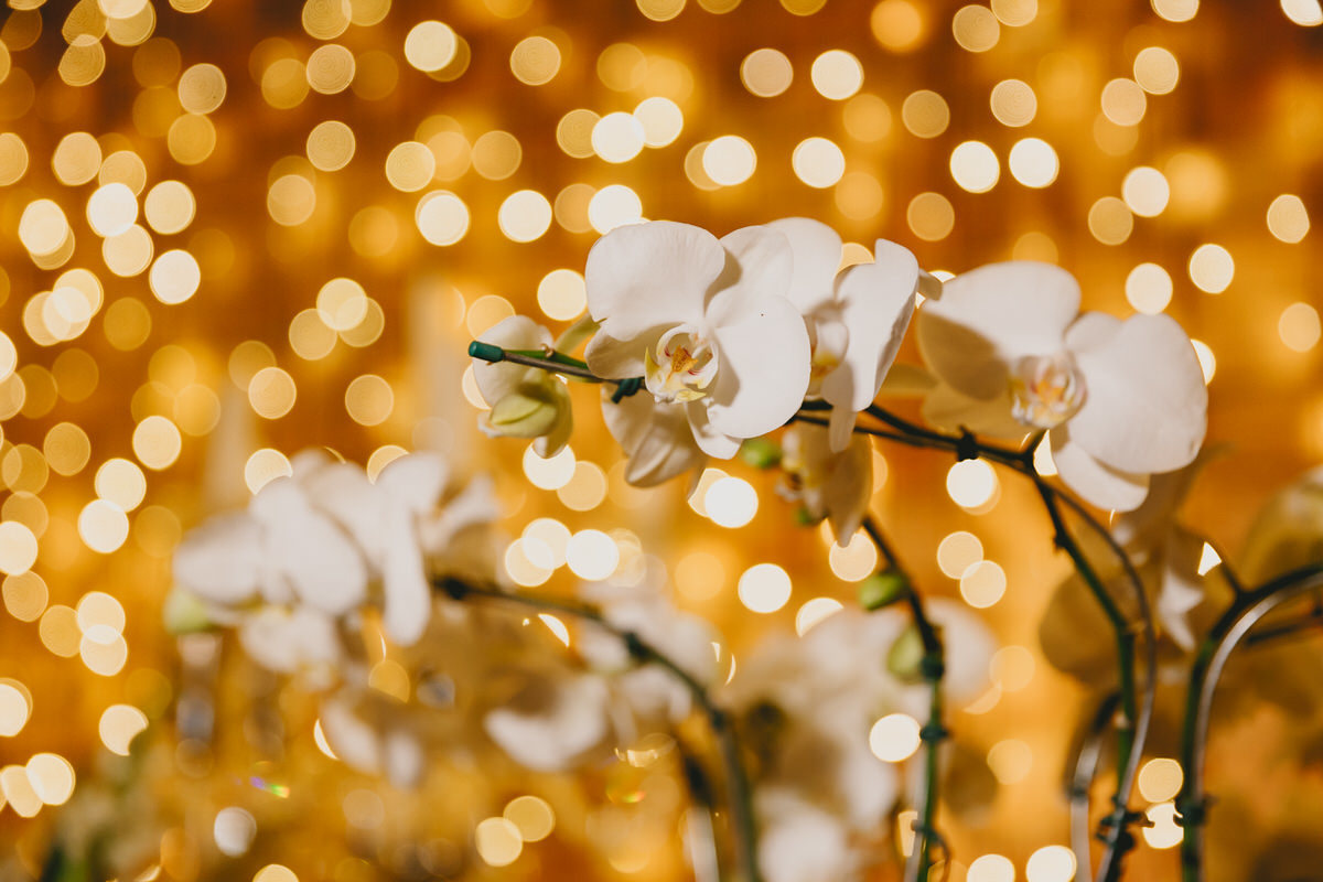 Decoração clássica verde e branca em festa de casamento no Salão Mansão dos Arcos Park Way Brasília Df Por Erika Magalhães