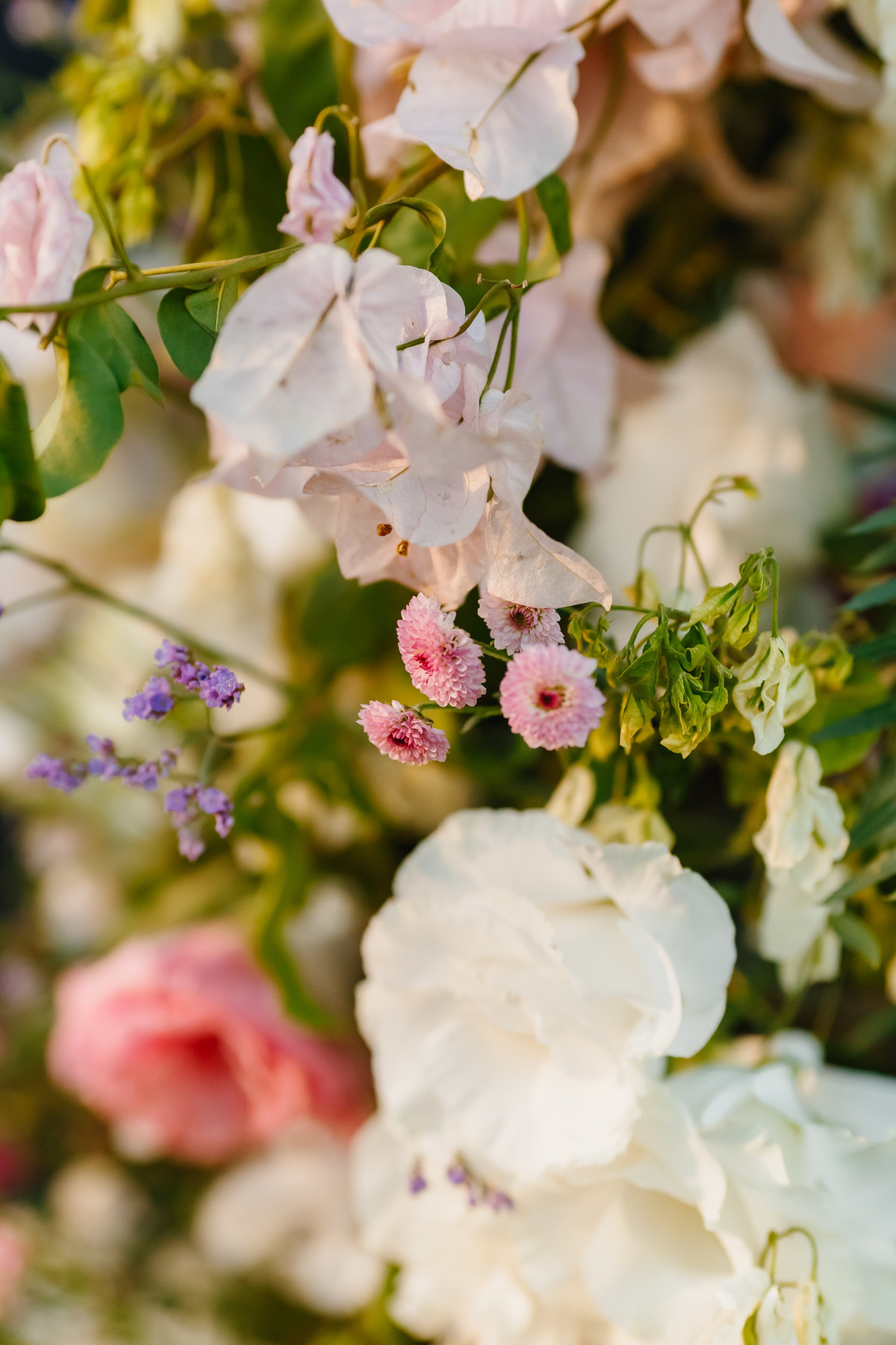 Casal de noivos na cerimônia em fotografia profissional de casamento no Espaço da Lenda Brasília Df