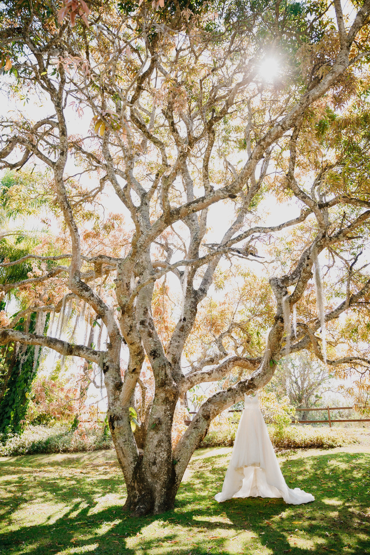 
Making of de noiva maquiagem Isabel de San cabelo Kacyo Vaz com vestido de noiva Vivian Spier pelo fotógrafo Casal Nogueira Brasília Df