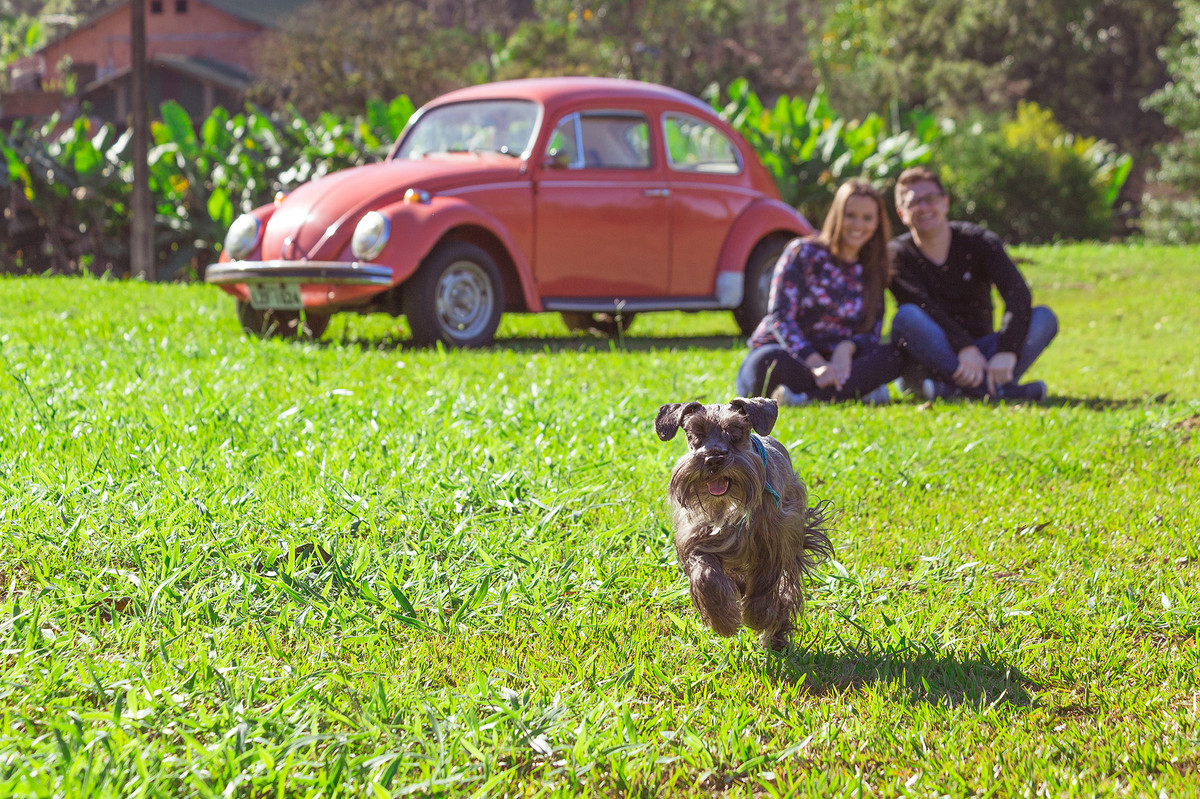 Vem cachorrinho. Pré-wedding Vaniele e Geovan. Presidente Getúlio, Camping e Pousada Urú. Fotografia de Eduardo Pasqualini, fotógrafo de casamentos e ensaios em Rio do Sul, Santa Catarina.
