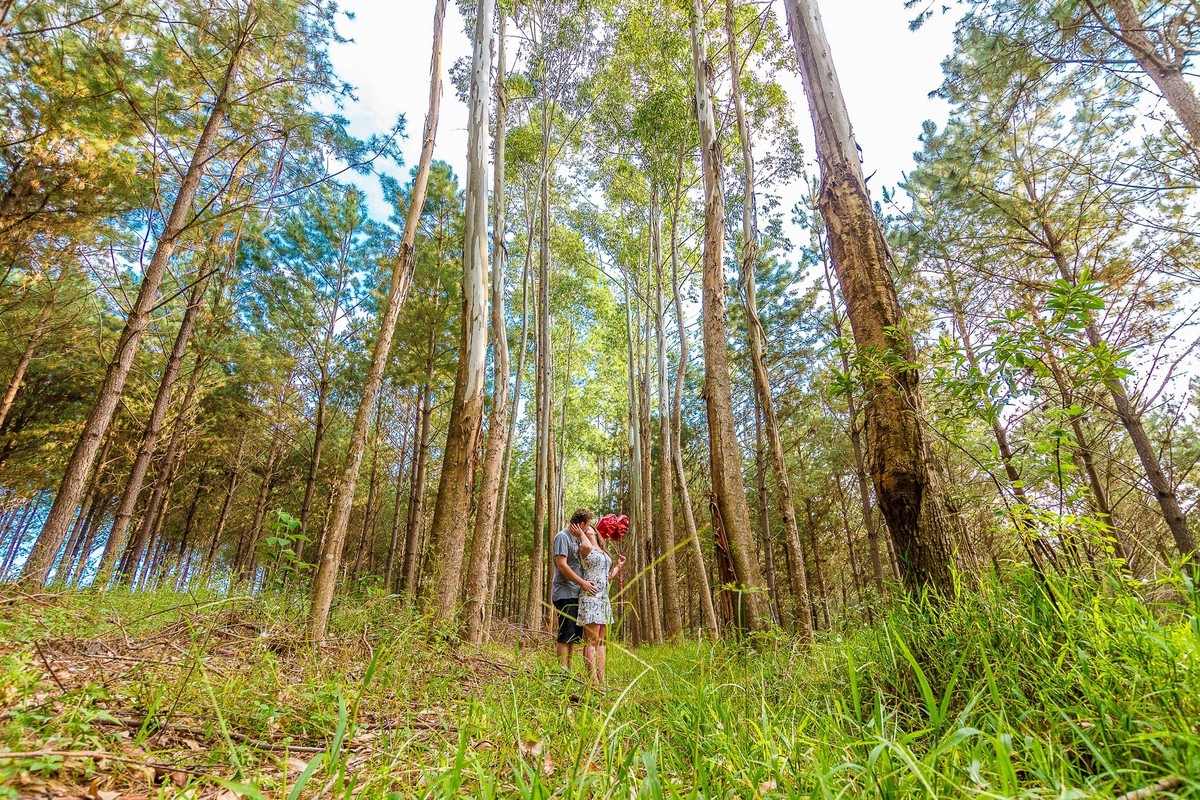Conexão com a natureza. Foto com balões. Fotografia de Eduardo Pasqualini Fotógrafo profissional de ensaio e casamento em Rio do Sul, Santa Catarina, Brasil.