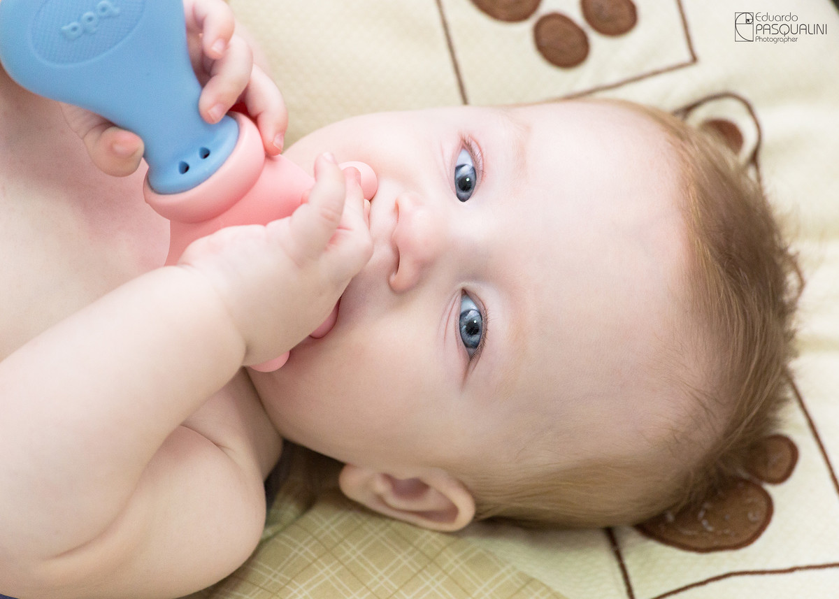 Bebê mordendo brinquedo de borracha. Fotografia de Eduardo Pasqualini, fotógrafo de casamentos e ensaios em Rio do Sul, Santa Catarina.