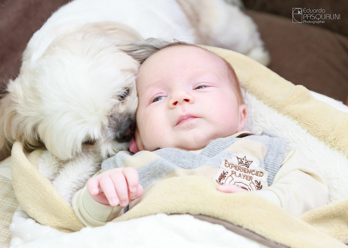 Bebe e cachorrinho. Fotografia de Eduardo Pasqualini, fotógrafo de casamentos e ensaios em Rio do Sul, Santa Catarina.