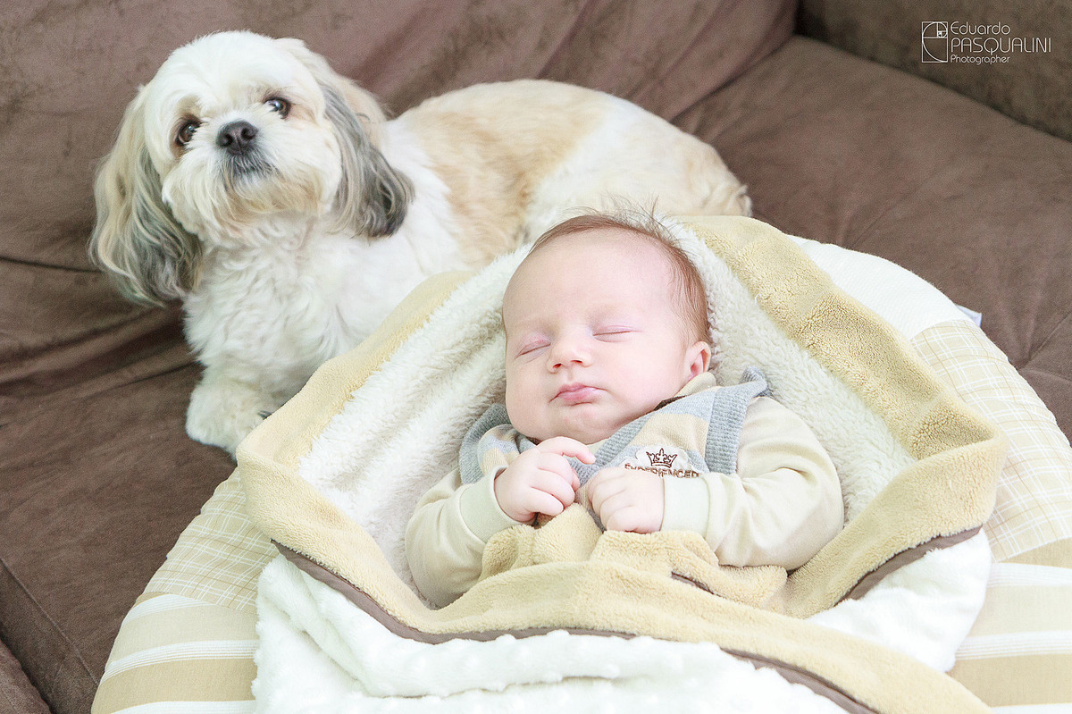 Cachorro e bebe dormindo. Fotografia de Eduardo Pasqualini, fotógrafo de casamentos e ensaios em Rio do Sul, Santa Catarina.