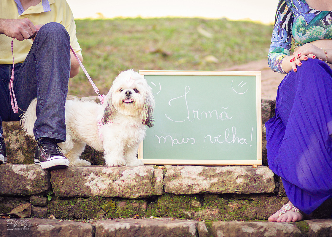 Quadro engraçado irmã mais velha com lhasa apso no ensaio de gestante da Inaraí. Fotografia de Eduardo Pasqualini, fotógrafo de casamentos e ensaios em Rio do Sul, Santa Catarina.