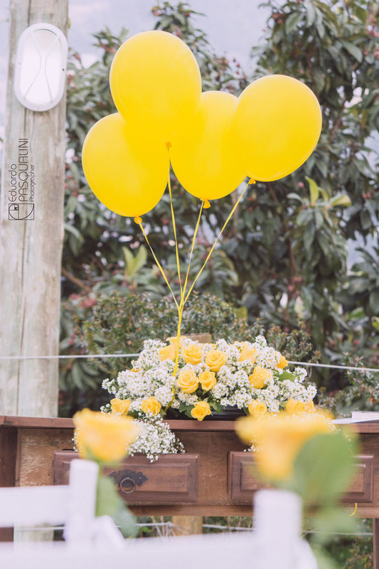 Balões e flores amarelas em decoração de casamento ao ar livre. Fotografia de Eduardo Pasqualini, fotógrafo de casamentos e ensaios em Rio do Sul, Santa Catarina. Villa Viver.