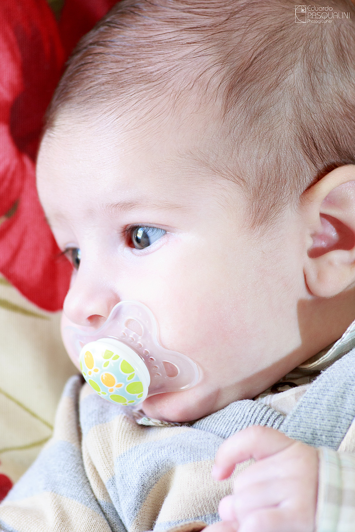 De bico e olhar baixo, foto em perfil do bebe de 2 meses Samuel. Fotografia de Eduardo Pasqualini, fotógrafo de casamentos e ensaios em Rio do Sul, Santa Catarina.