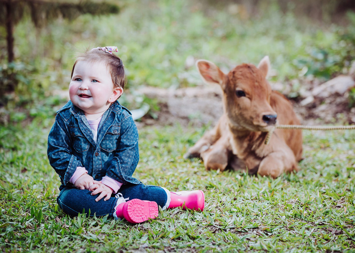 Bebê e um bezerro. Ensaio de Família, Fotografia de Família, Fotos de Eduardo Pasqualini, fotógrafo de casamentos e ensaios em Rio do Sul, Santa Catarina.