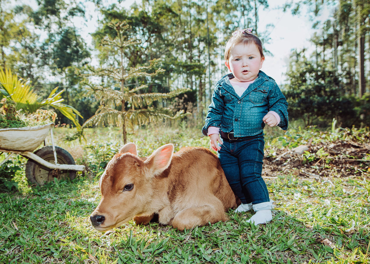 Amiguinho boizinho. Ensaio de Família, Fotografia de Família, Fotos de Eduardo Pasqualini, fotógrafo de casamentos e ensaios em Rio do Sul, Santa Catarina.