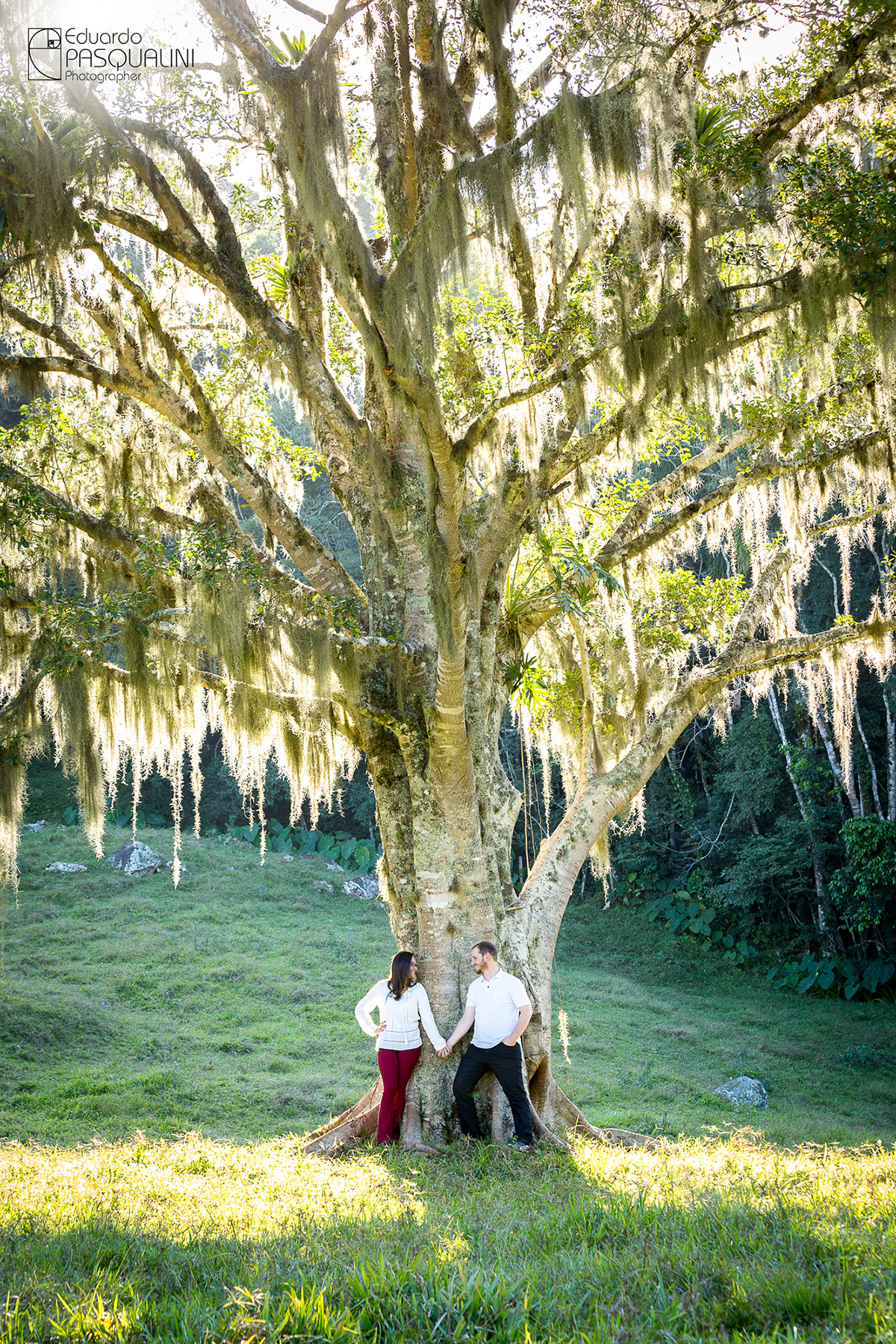 Juntos a árvore, noivos durante ensaio. Fotografia de Eduardo Pasqualini, fotógrafo de casamentos e ensaios em Rio do Sul, Santa Catarina.